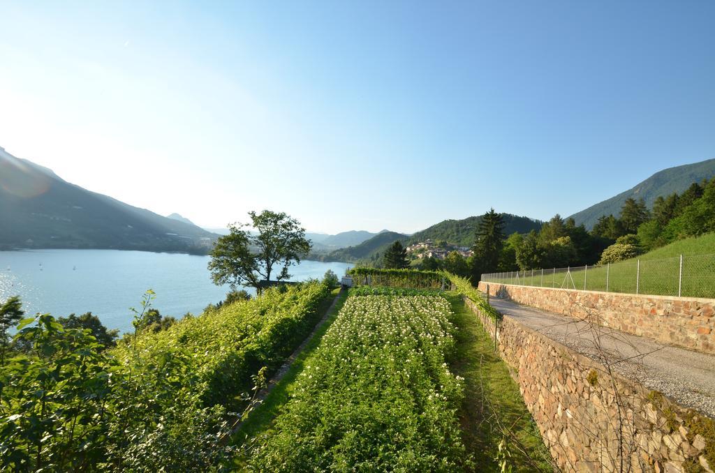Trentino Appartamenti Oss Tenna Bagian luar foto